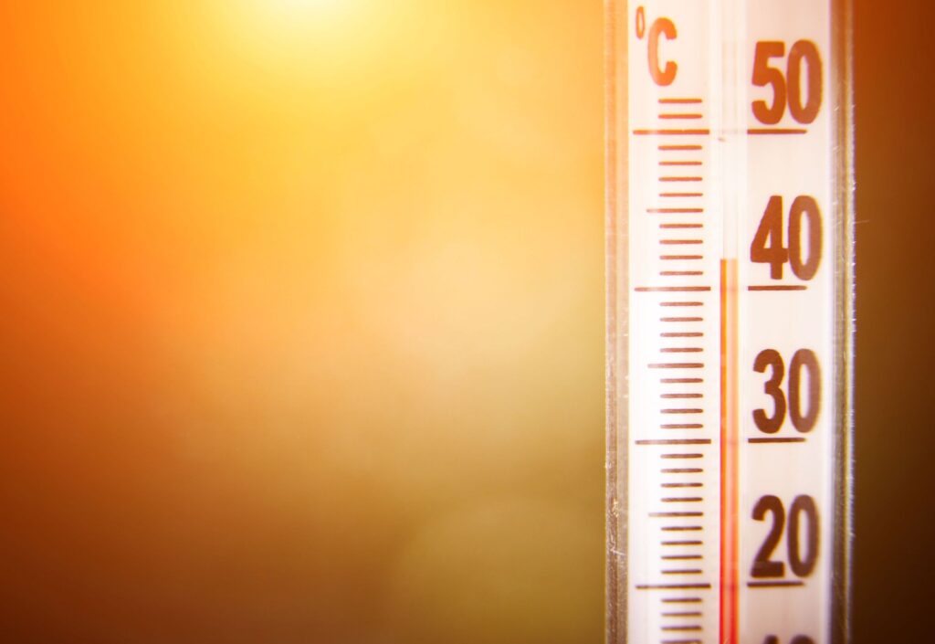 World Temperature History