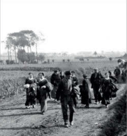 Belgian civilians flee their homes during the fighting at Messines, October 1914. Many eventually went to France or Britain.